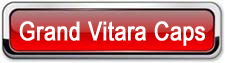 suzuki grand vitara hubcaps wheelcovers