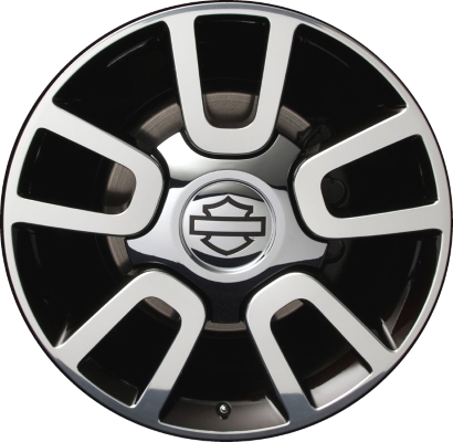 Ford F-150 2010-2011 violet or silver polished 22x9 aluminum wheels or rims. Hollander part number ALY3830U, OEM part number AL3Z1007C.