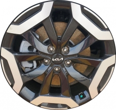 ALYKM075 KIA Telluride Wheel/Rim Black Machined #52910S9900