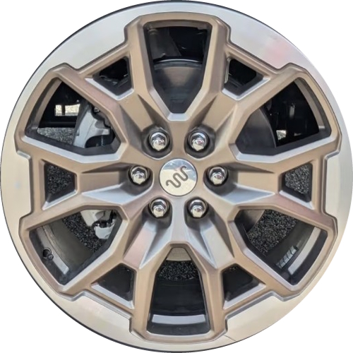 Ford Expedition King Ranch 2025-2026 tan machined 22x9 aluminum wheels or rims. Hollander part number 10694 OEM part number SL1Z-1007-J