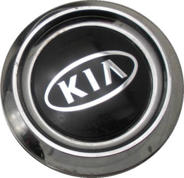 C74566 Kia Sorento OEM Center Cap #529603E020